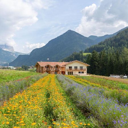 Eco-Green Fiores Agriturismo วีโก ดี ฟาสซา ภายนอก รูปภาพ