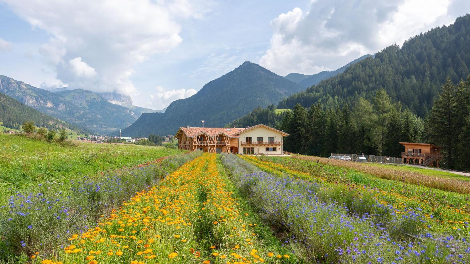 Eco-Green Fiores Agriturismo วีโก ดี ฟาสซา ภายนอก รูปภาพ